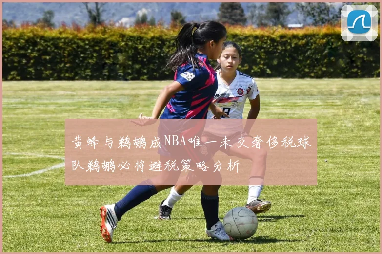 黄蜂与鹈鹕成NBA唯一未交奢侈税球队鹈鹕必将避税策略分析