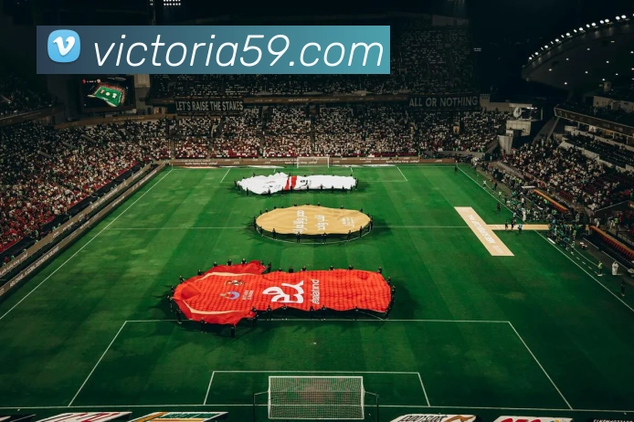 体育直播服务